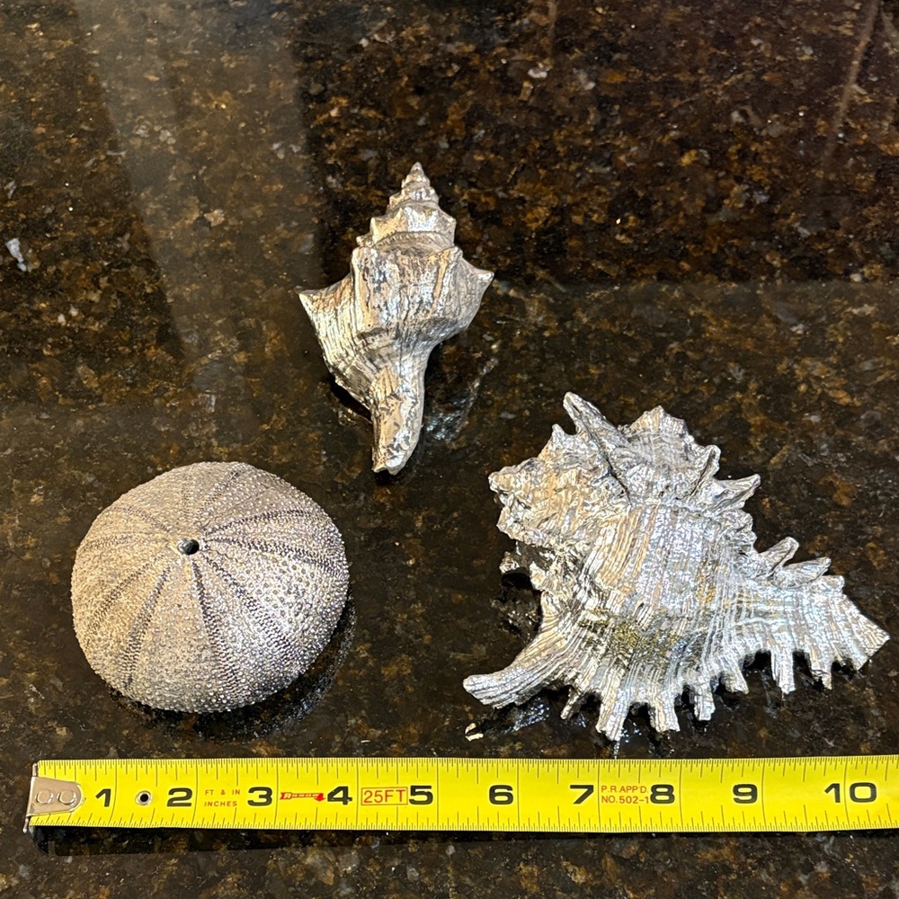 Metallic Silver Seashell Decor Trio